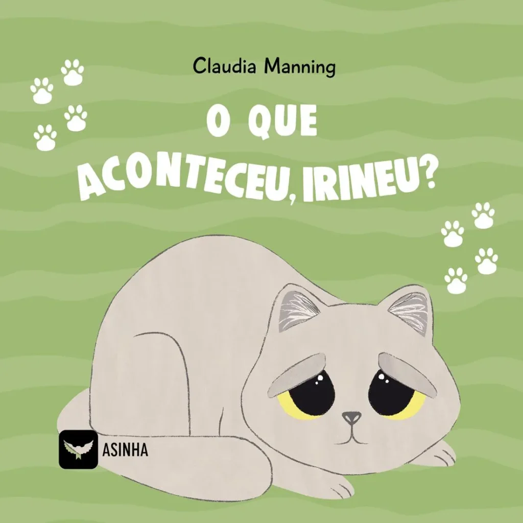 Capa do livro O que aconteceu, Irineu?