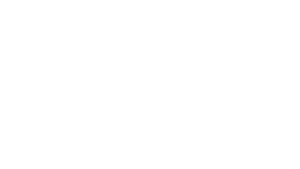 Autovoo