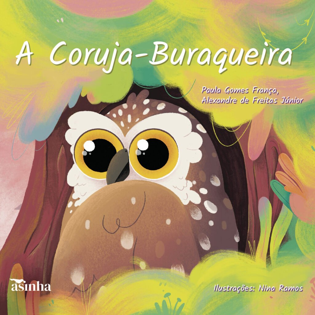 Capa do livro A Coruja-buraqueira