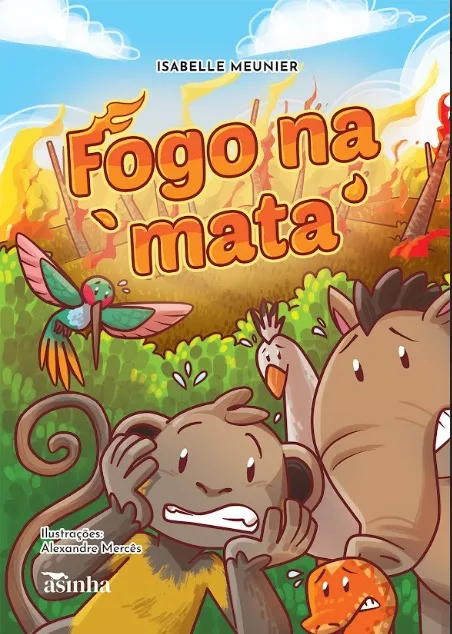 Capa do livro Fogo na mata