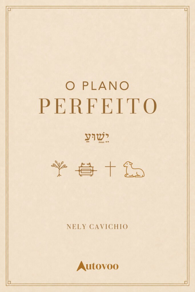 Capa do livro O plano perfeito