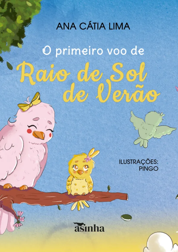 O primeiro voo de Raio de Sol de Verão